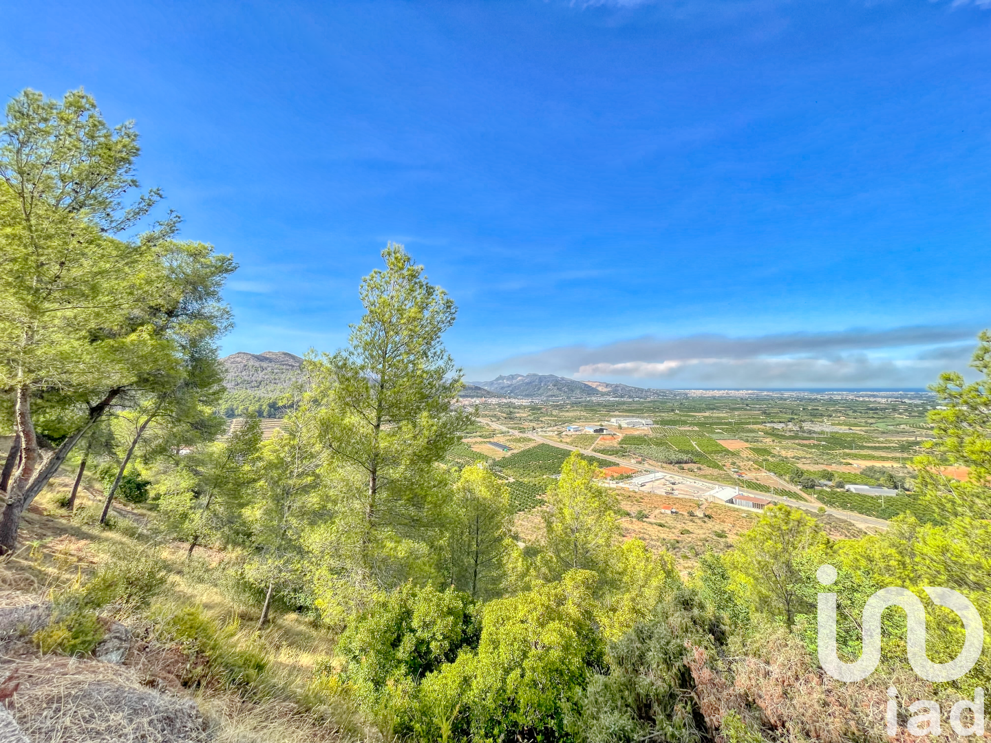 Parcela en Ador, València, España 3000 m2 No. 195155
