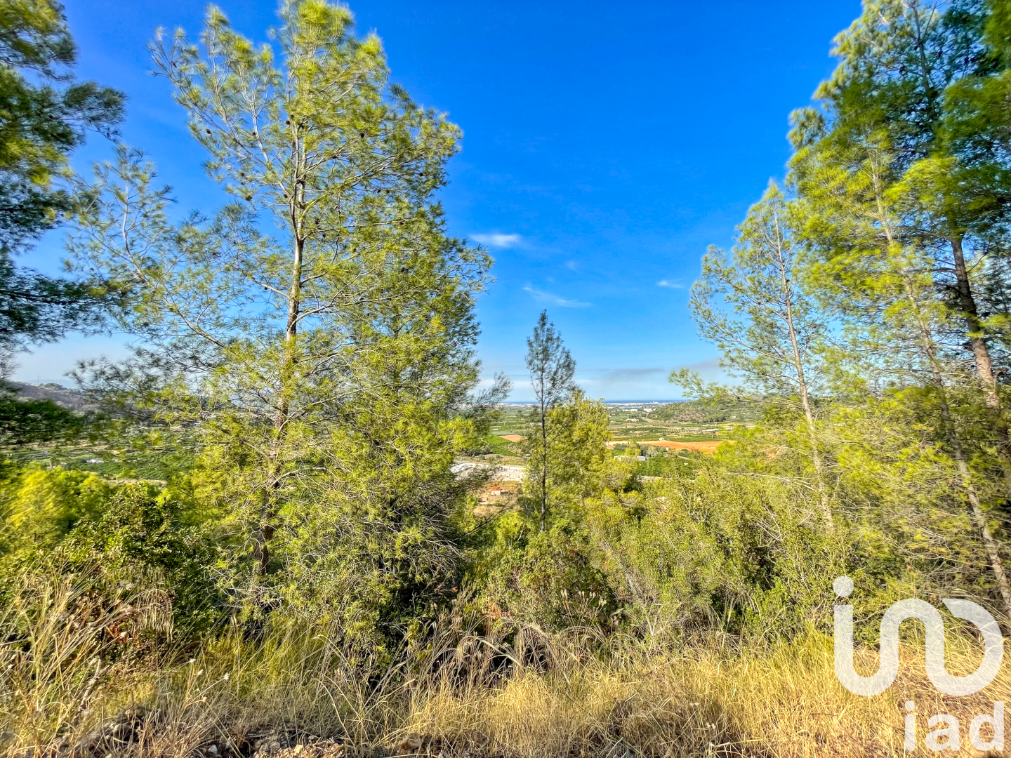 Działka w Ador, Valencia, Hiszpania 4006 mkw. nr 195153