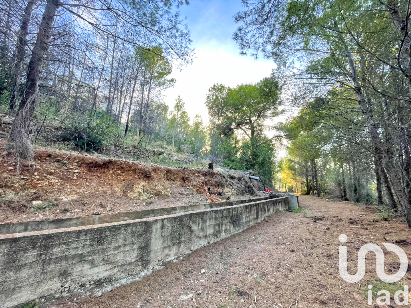 Zemes gabals Ador, Valencia, Spānijā 5420 m2 Nr. 195154