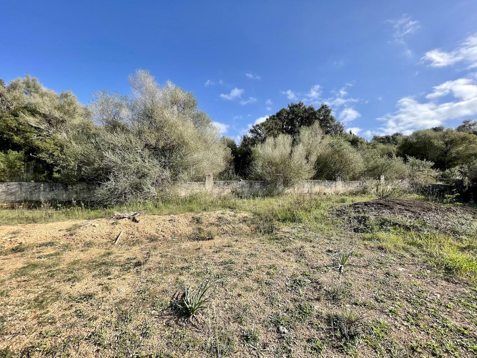 Land plot in Ariany, Mallorca, Spain 3 bedrooms, 15048 sq.m. No. 137545
