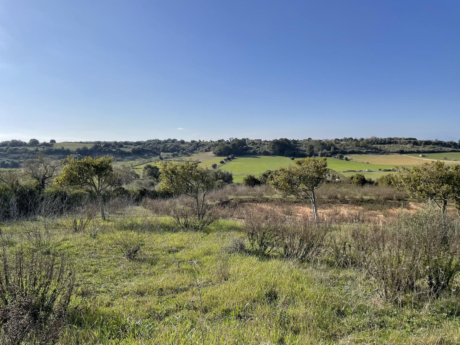 Land plot in Ariany, Mallorca, Spain 3 bedrooms, 15048 sq.m. No. 137545