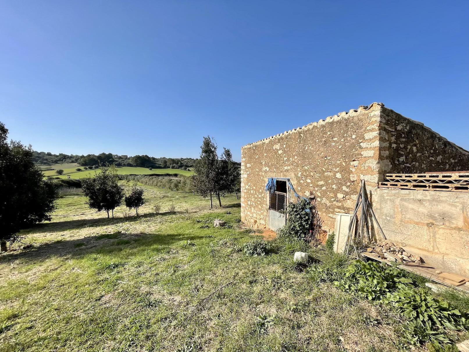 Land plot in Ariany, Mallorca, Spain 3 bedrooms, 15048 sq.m. No. 137545