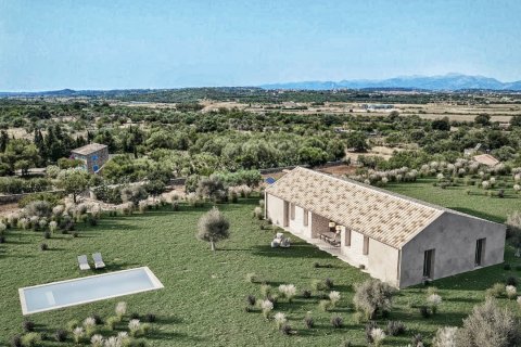 Tontti Ariany, Mallorca, Espanja 3 makuuhuonetta, 15048 m2 No. 137545