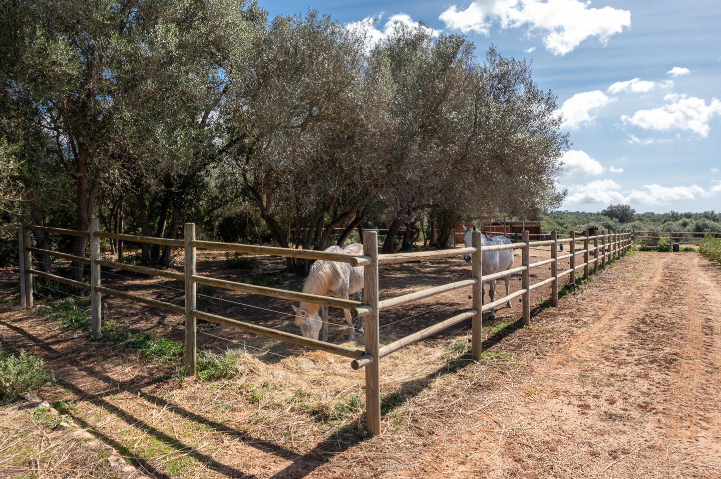 Finca a Campos, Mallorca, Spagna 5 camere da letto, 507 mq. N° 182118