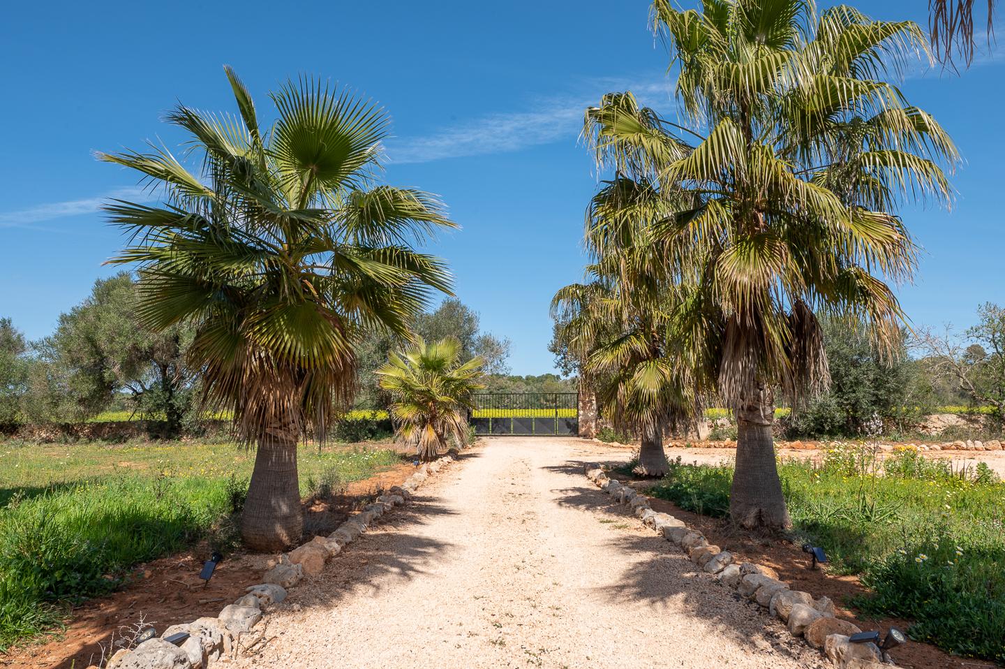Finca a Campos, Mallorca, Spagna 5 camere da letto, 507 mq. N° 182118