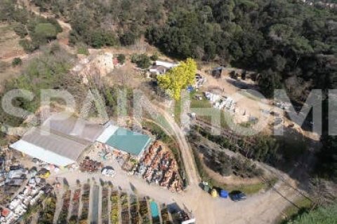 Terreno a Vallromanes, Barcelona, Spagna 22670 mq. N° 166264
