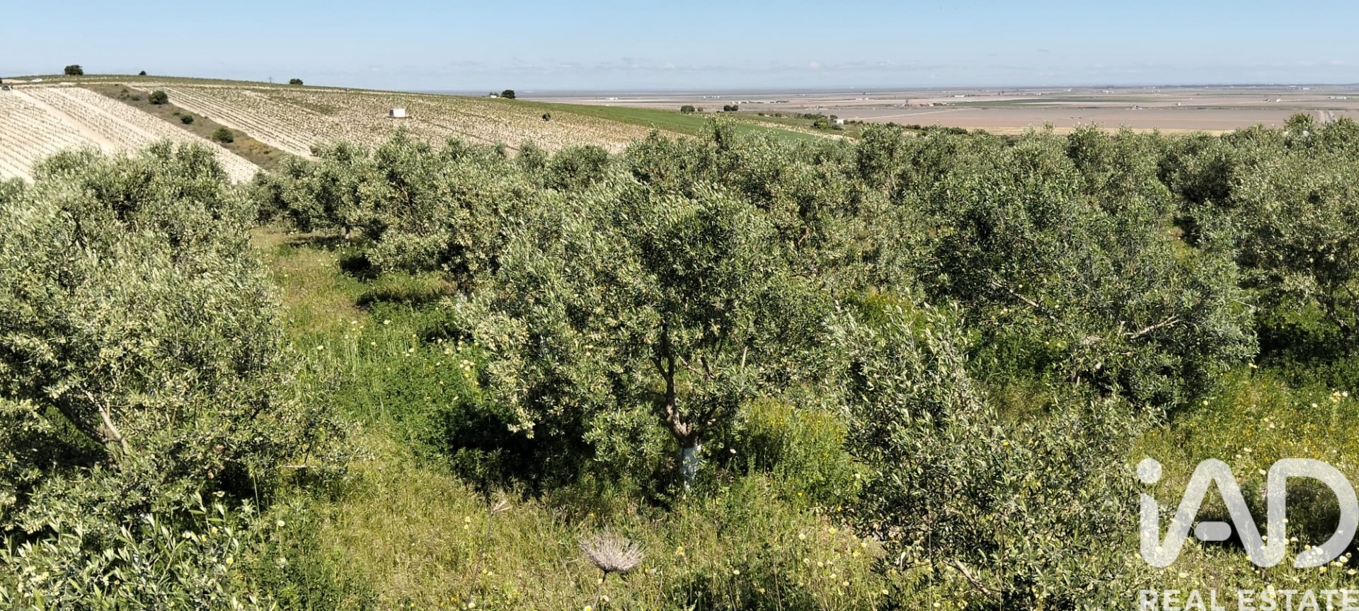 Земельный участок в Лебриха, Севилья, Испания 9500м2 №184950