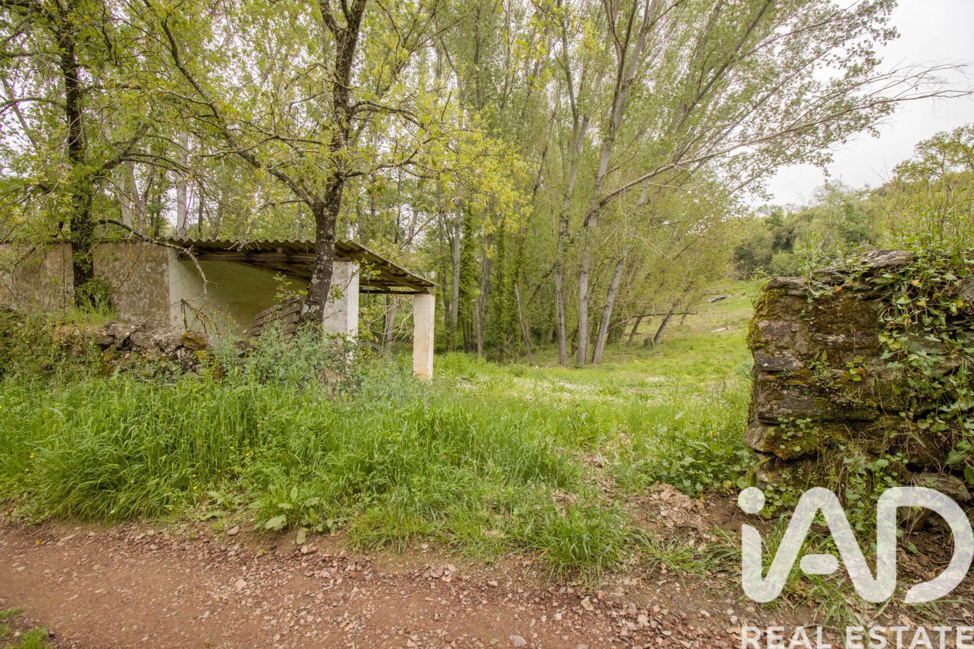 Land plot in Galaroza, Huelva, Spain 6500 sq.m. No. 184949