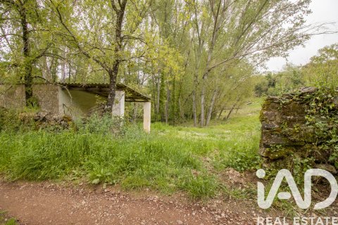 Land plot in Galaroza, Huelva, Spain 6500 sq.m. No. 184949