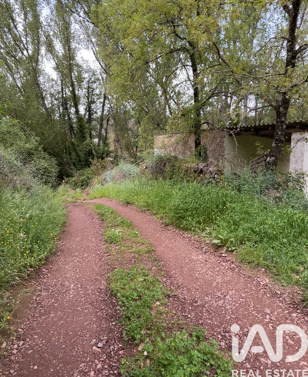 Land plot in Galaroza, Huelva, Spain 6500 sq.m. No. 184949