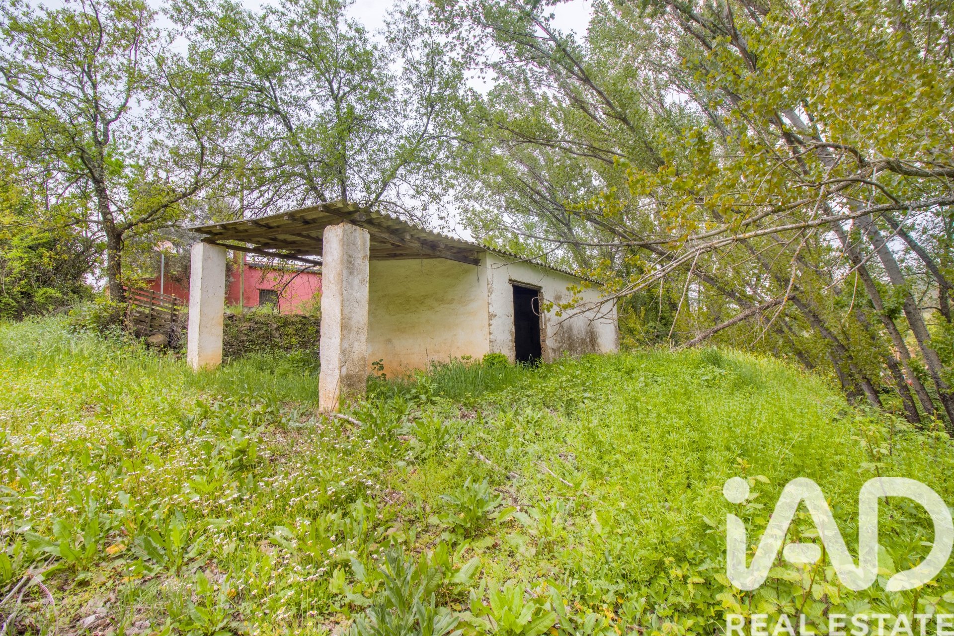 Land plot in Galaroza, Huelva, Spain 6500 sq.m. No. 184949