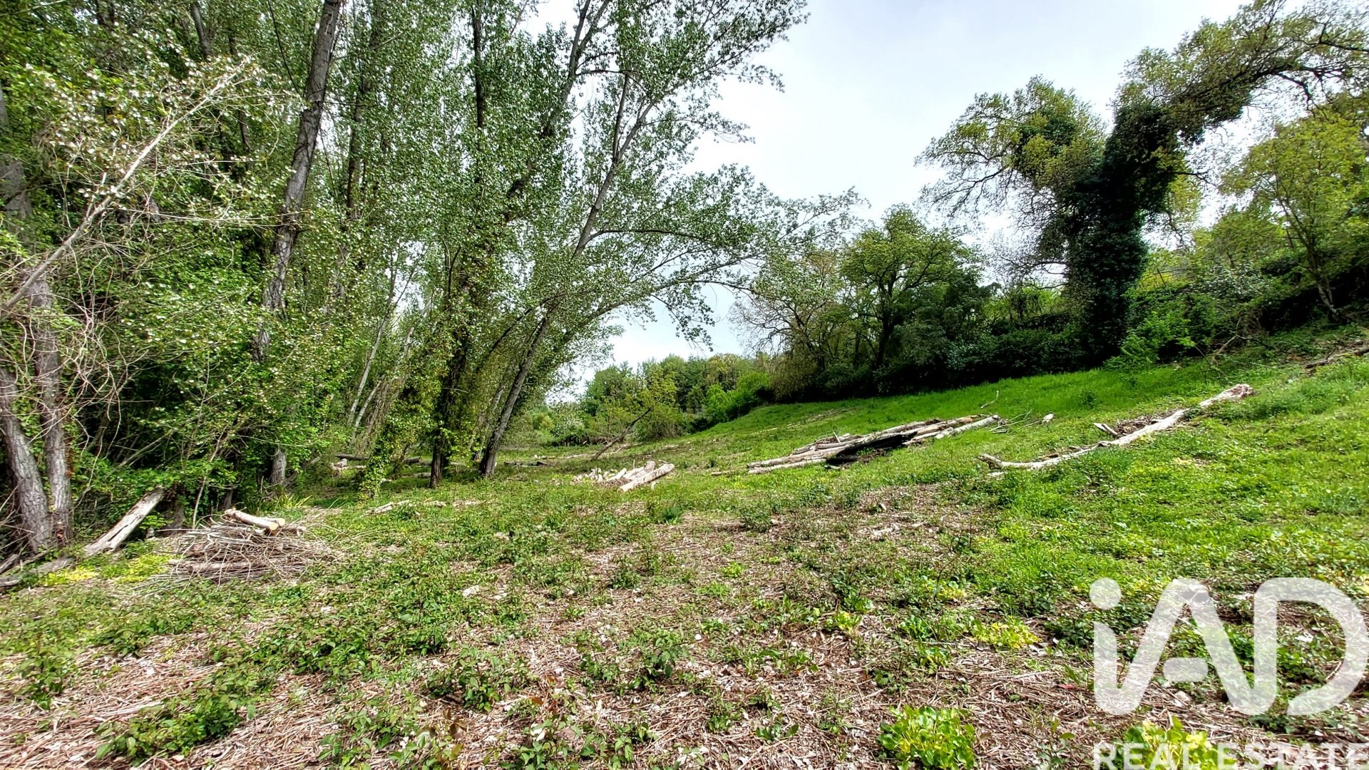 Land plot in Galaroza, Huelva, Spain 6500 sq.m. No. 184949