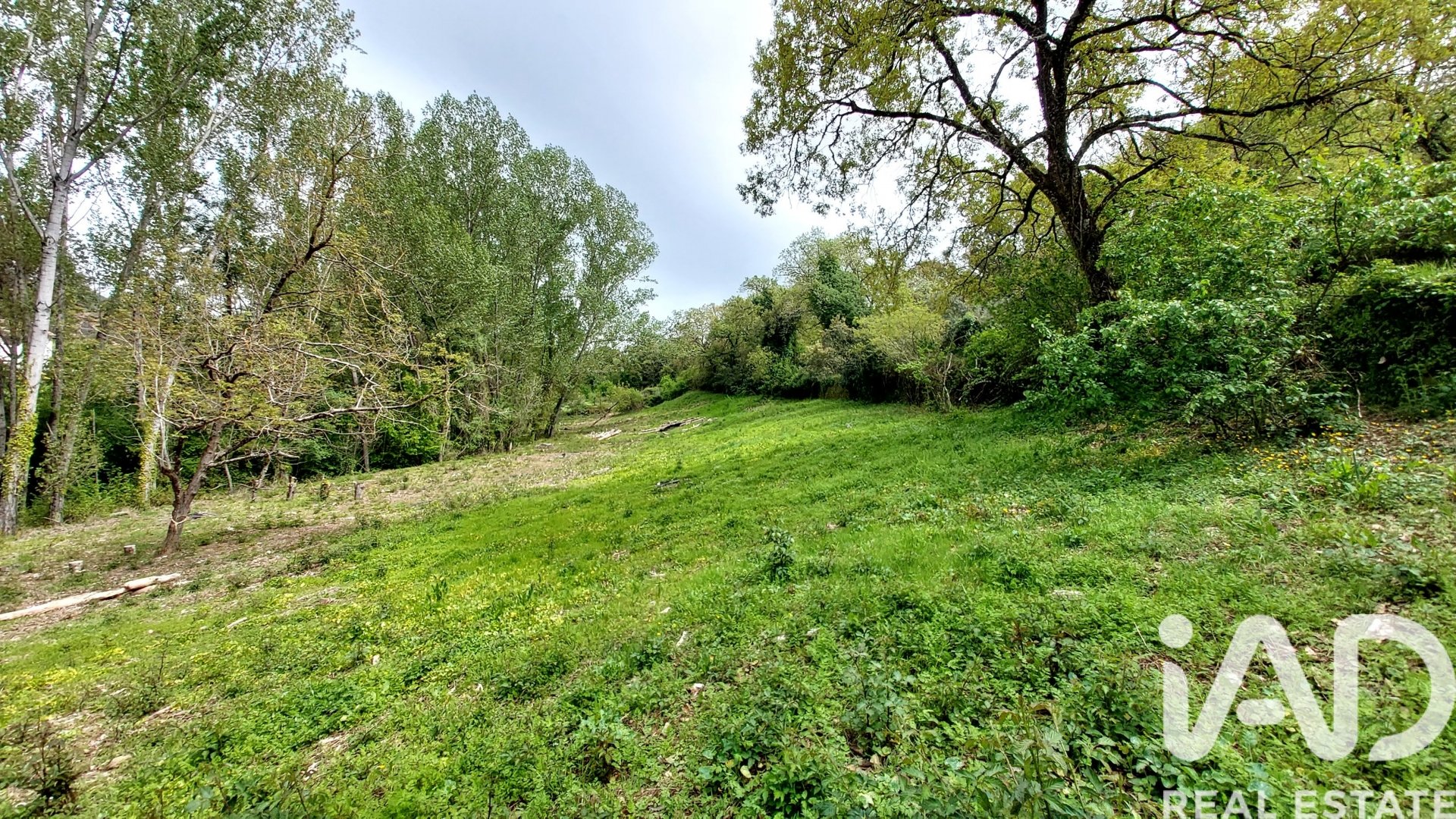 Land plot in Galaroza, Huelva, Spain 6500 sq.m. No. 184949