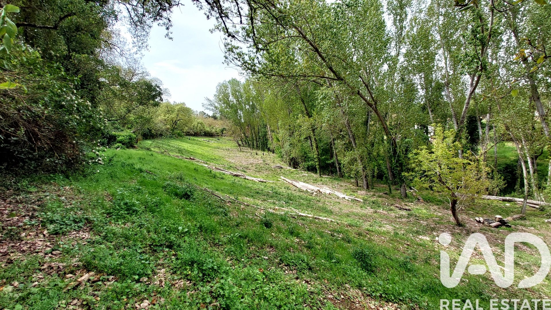 Land plot in Galaroza, Huelva, Spain 6500 sq.m. No. 184949