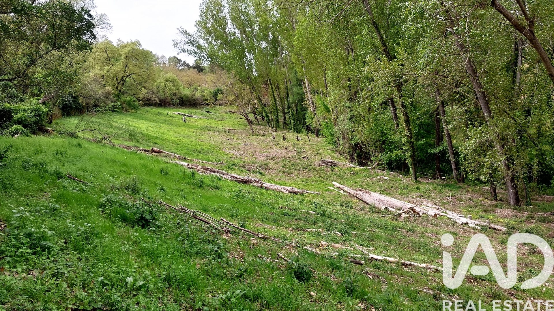 Land plot in Galaroza, Huelva, Spain 6500 sq.m. No. 184949