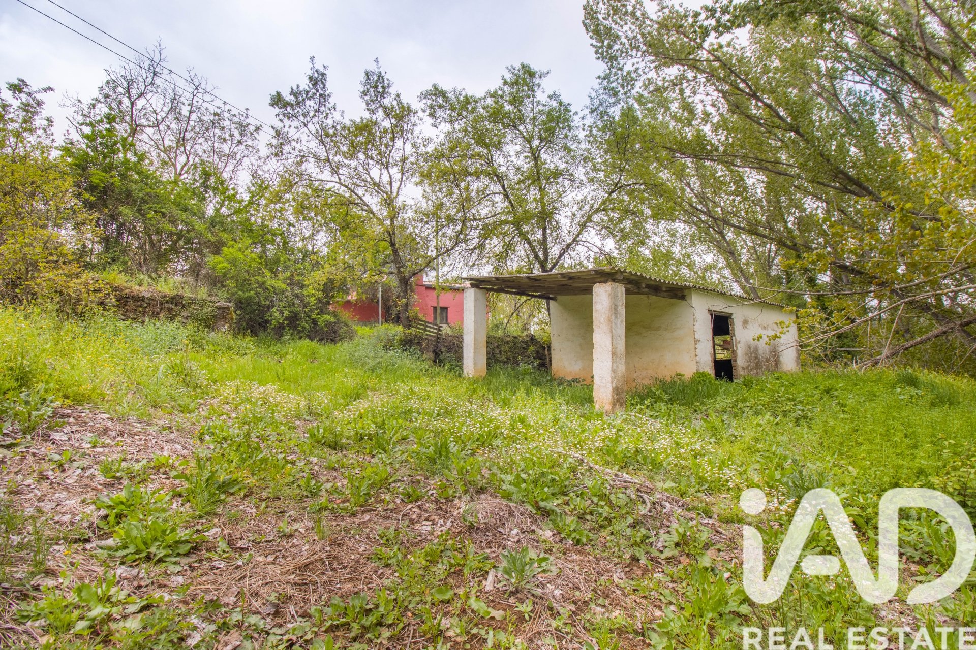 Land plot in Galaroza, Huelva, Spain 6500 sq.m. No. 184949