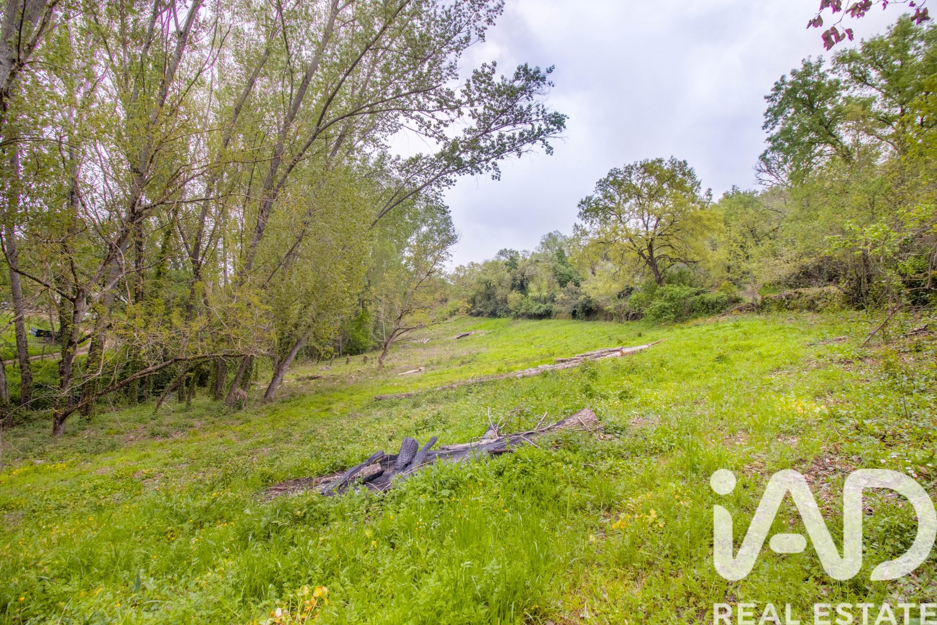 Land plot in Galaroza, Huelva, Spain 6500 sq.m. No. 184949