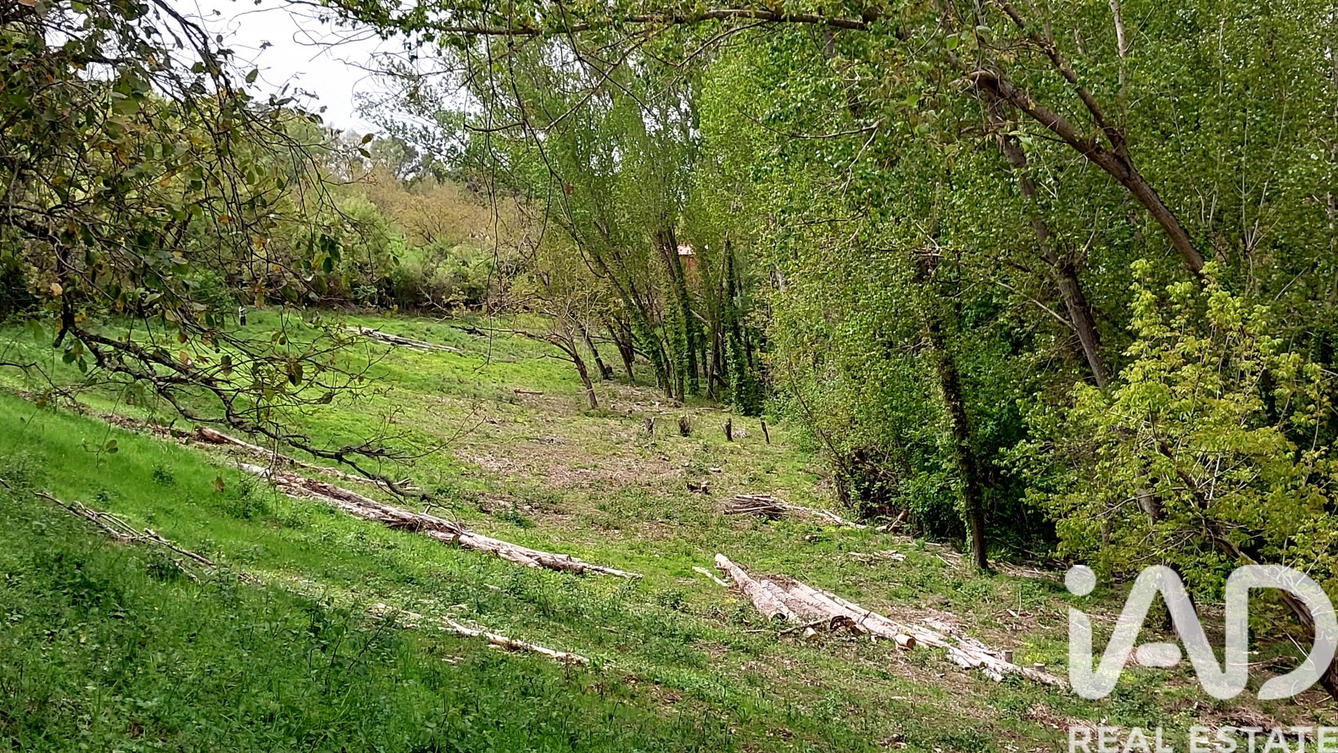 Land plot in Galaroza, Huelva, Spain 6500 sq.m. No. 184949
