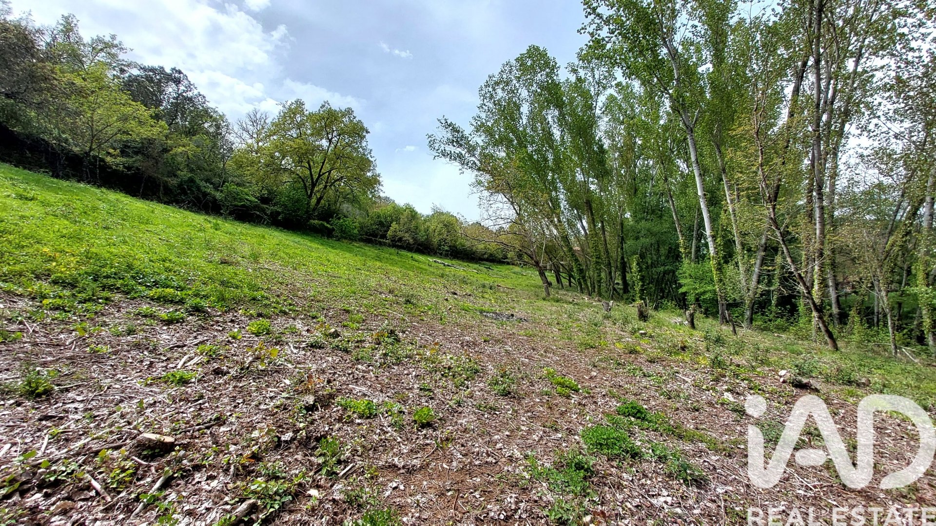 Land plot in Galaroza, Huelva, Spain 6500 sq.m. No. 184949
