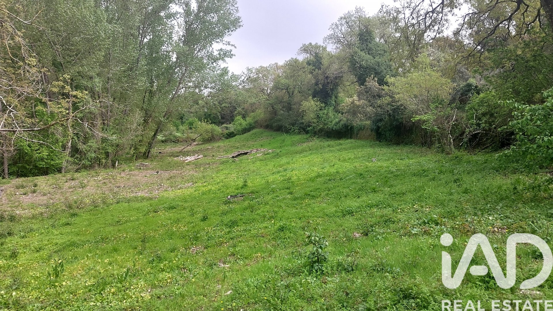 Land plot in Galaroza, Huelva, Spain 6500 sq.m. No. 184949