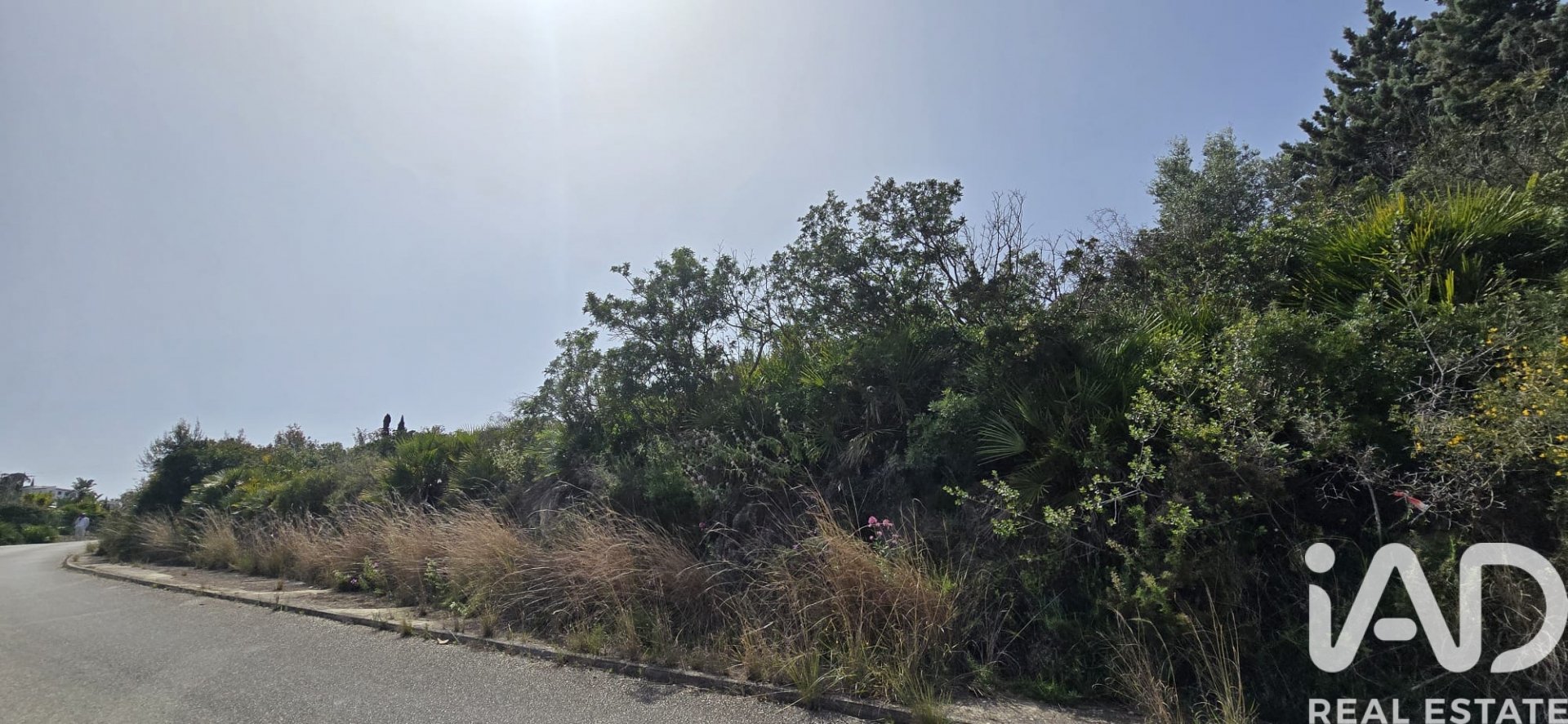 Land plot in Denia, Alicante, Spain 1987 sq.m. No. 184948
