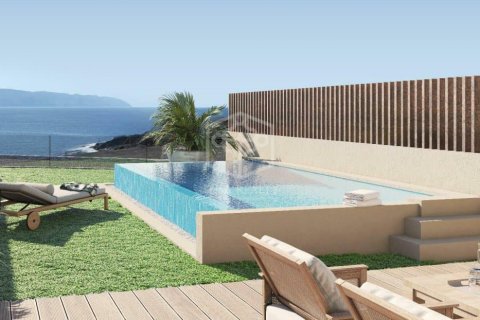 Rindu māja Adeje, Tenerife, Spānijā 4 istabas, 308 m2 Nr. 155292