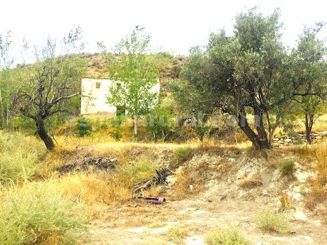 House in Lucar, Almeria, Spain 3 bedrooms, 350 sq.m. No. 184100