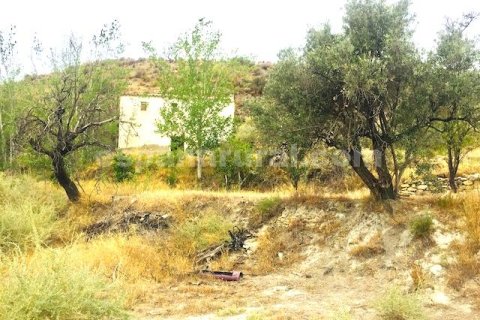Hus i Lucar, Almeria, Spanien 3 sovrum, 350 kvm. Nr. 184100