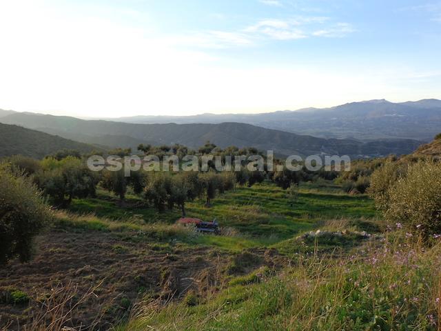 House in Sufli, Almeria, Spain 3 bedrooms, 110 sq.m. No. 184093