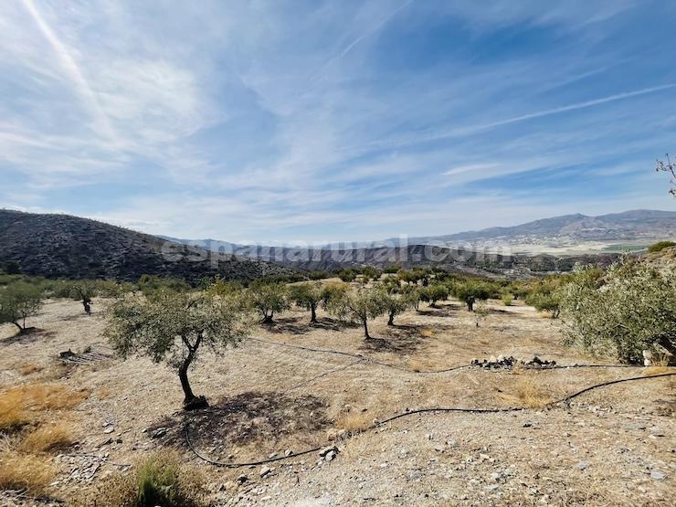 House in Sufli, Almeria, Spain 3 bedrooms, 110 sq.m. No. 184093