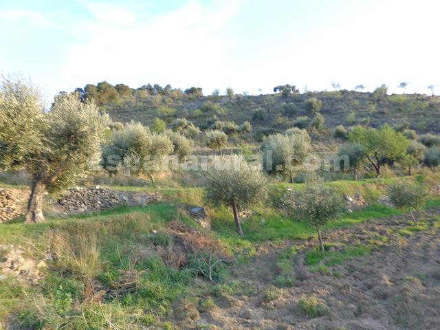 House in Sufli, Almeria, Spain 3 bedrooms, 110 sq.m. No. 184093
