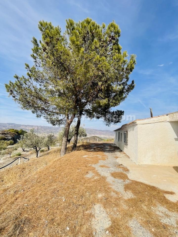 House in Sufli, Almeria, Spain 3 bedrooms, 110 sq.m. No. 184093