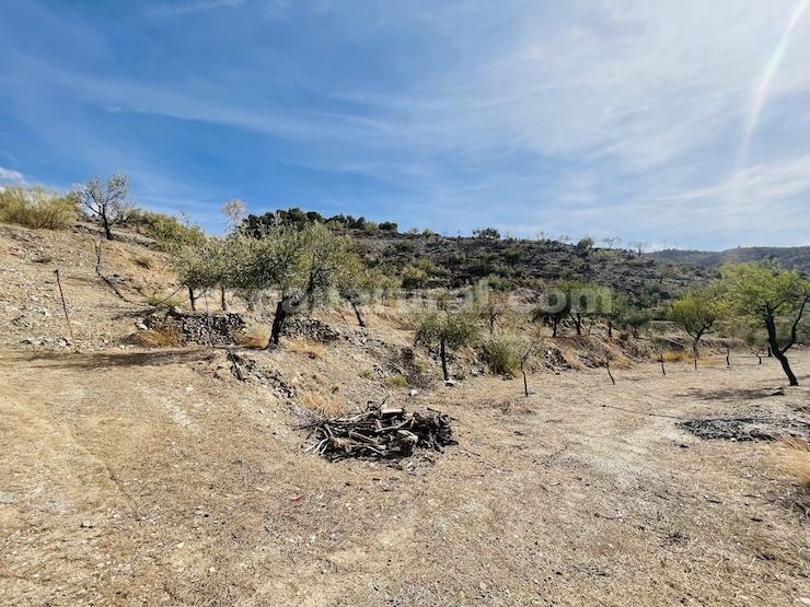 House in Sufli, Almeria, Spain 3 bedrooms, 110 sq.m. No. 184093