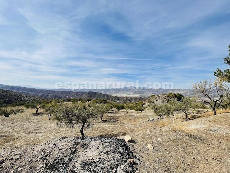 House in Sufli, Almeria, Spain 3 bedrooms, 110 sq.m. No. 184093