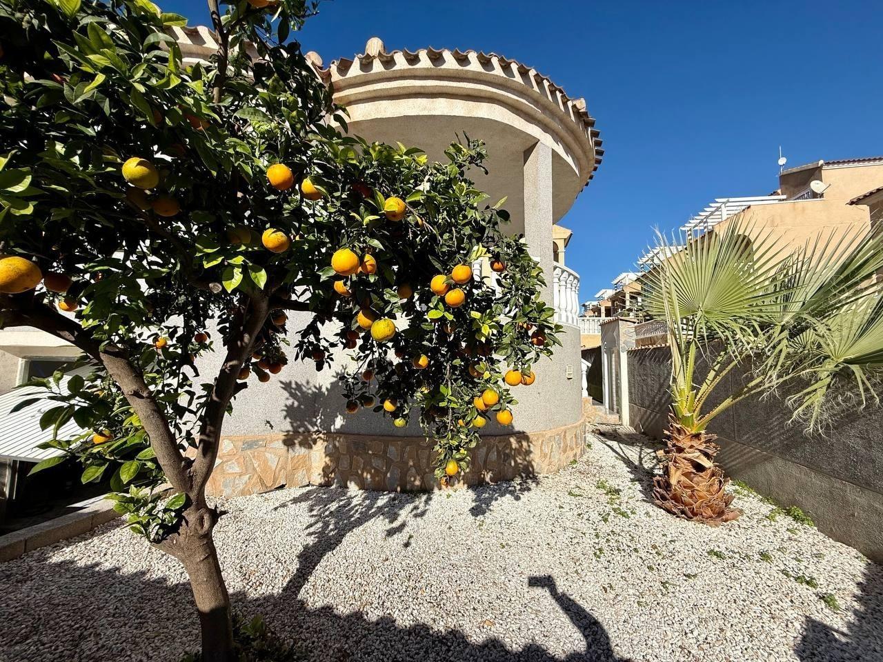 Villa a Playa Flamenca II, Alicante, Spagna 4 camere da letto, 191 mq. N° 191635