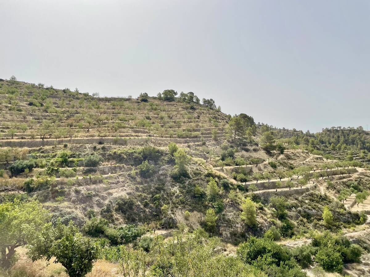Terreno a Sella, Alicante, Spagna N° 183686