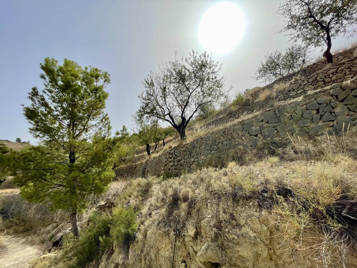 Terreno a Sella, Alicante, Spagna N° 183686