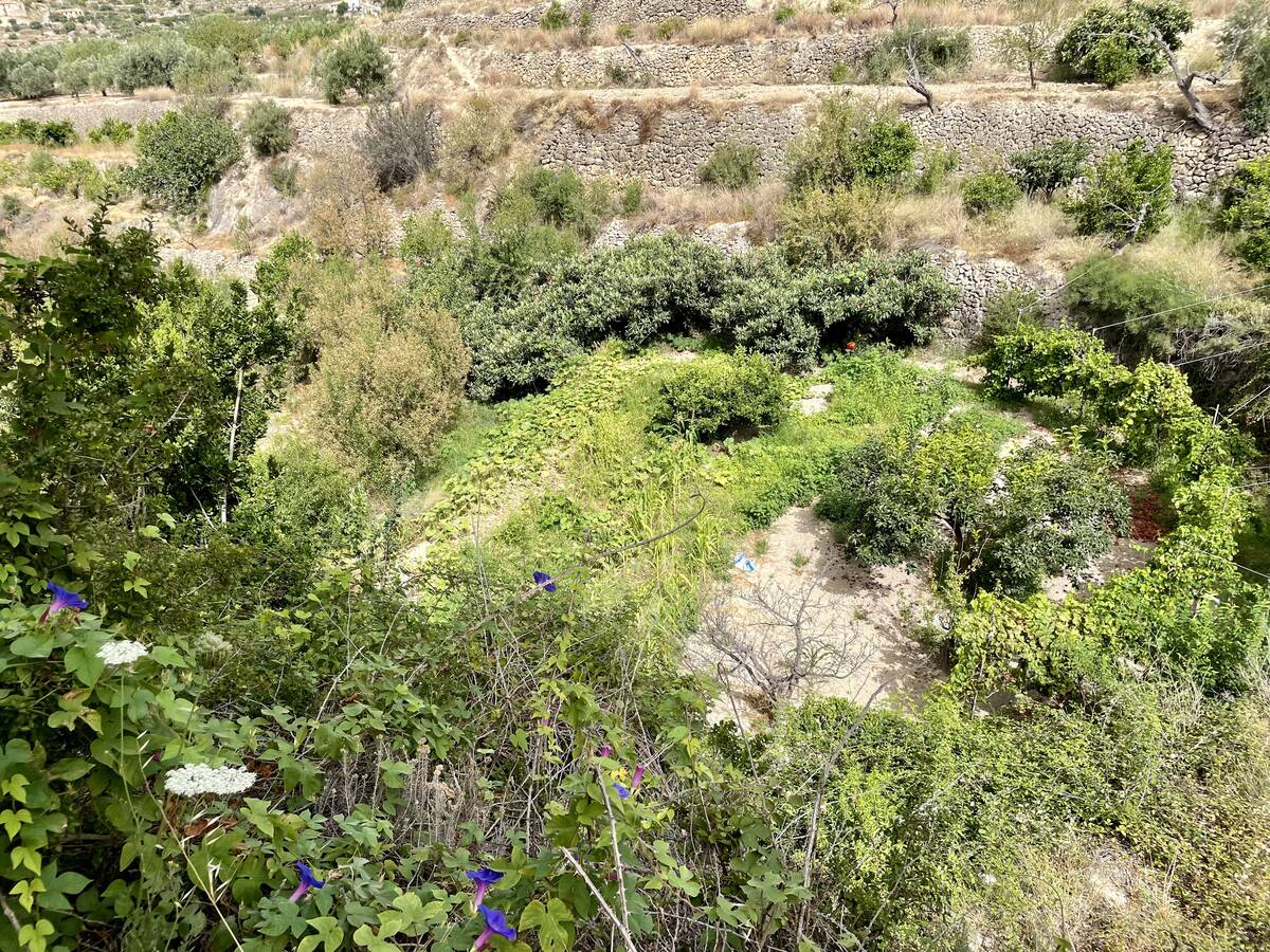 Terreno a Sella, Alicante, Spagna N° 183686