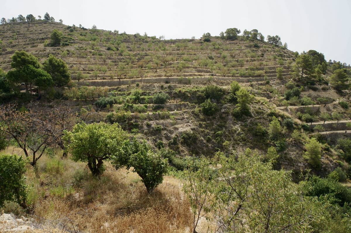Terreno a Sella, Alicante, Spagna N° 183686