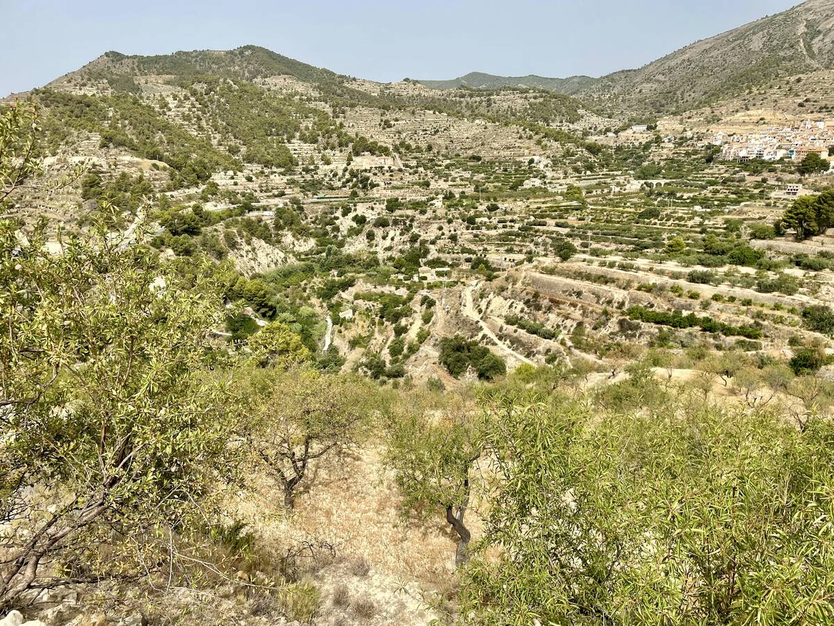 Terreno a Sella, Alicante, Spagna N° 183686