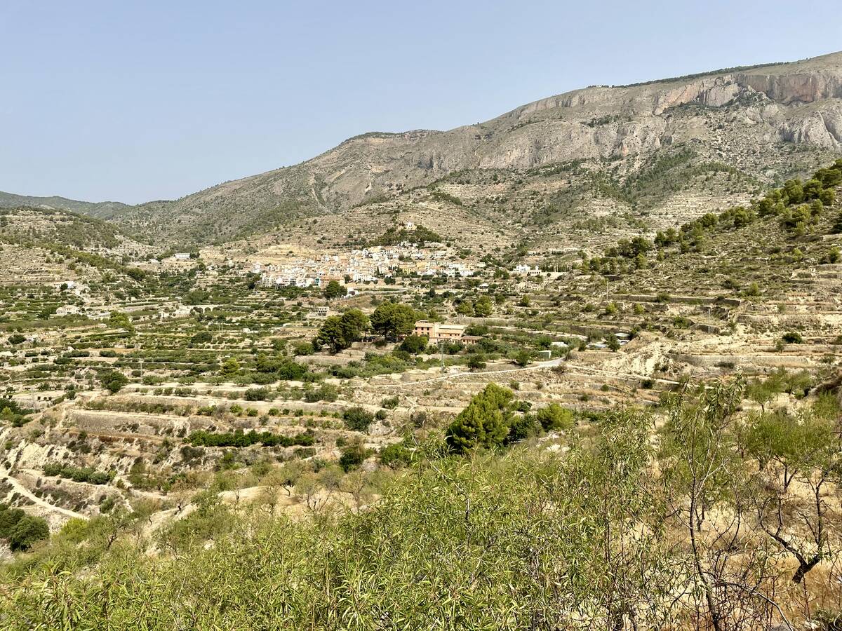 Terreno a Sella, Alicante, Spagna N° 183686