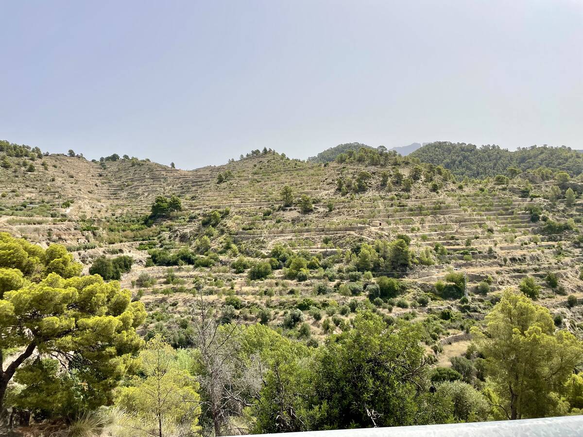 Terreno a Sella, Alicante, Spagna N° 183686