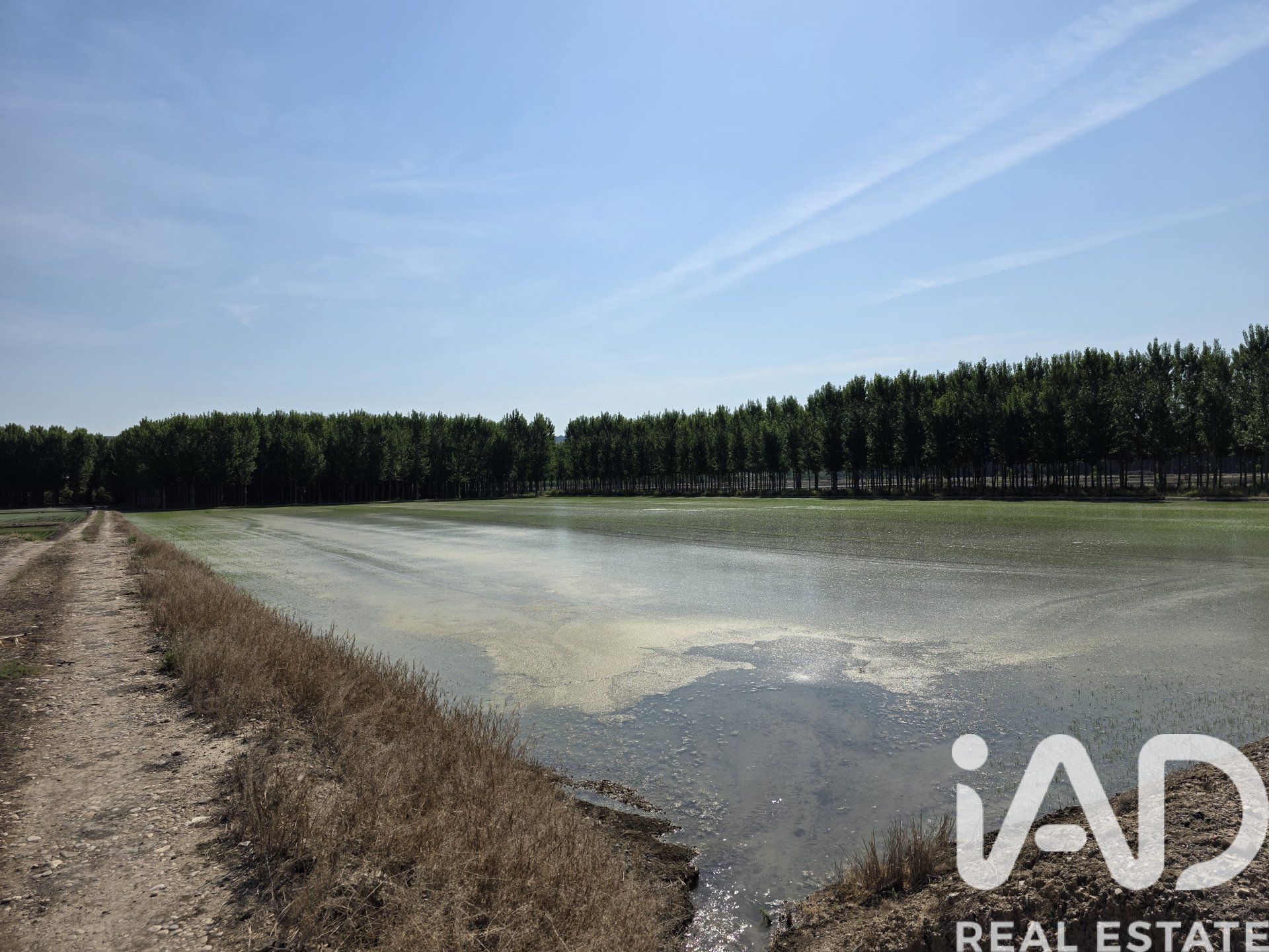Lokal usługowy w Moratalla, Murcia, Hiszpania nr 184634