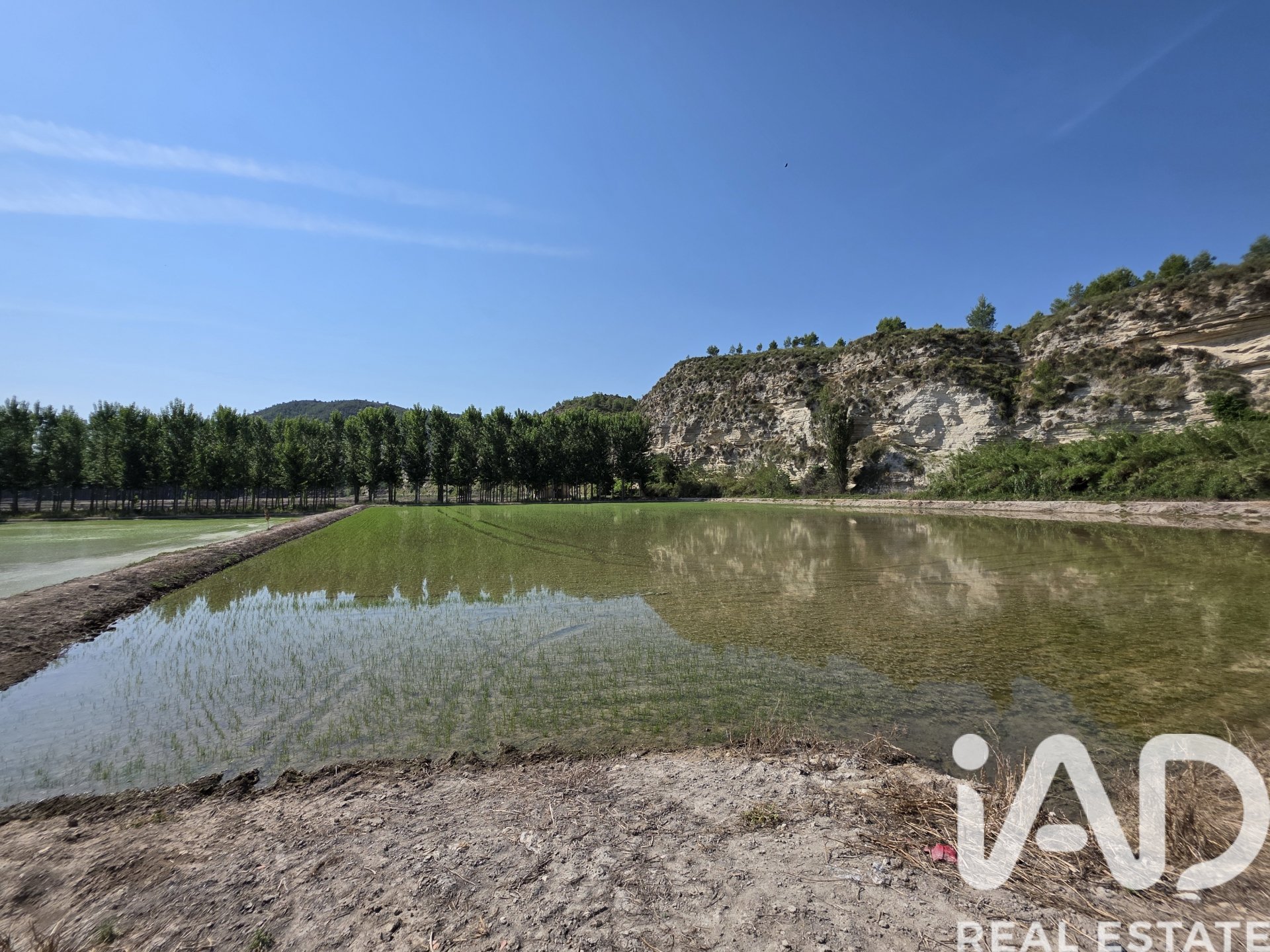Lokal usługowy w Moratalla, Murcia, Hiszpania nr 184634