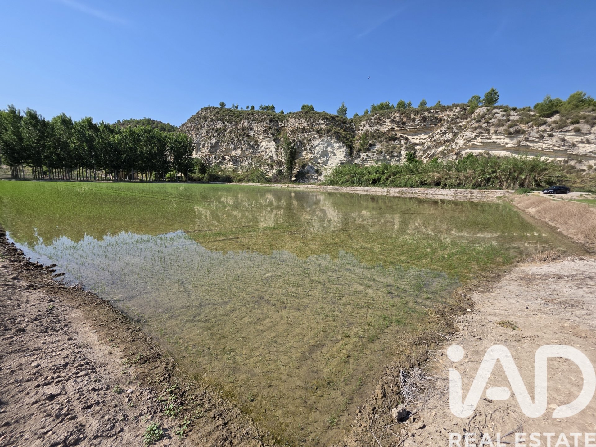 Lokal usługowy w Moratalla, Murcia, Hiszpania nr 184634
