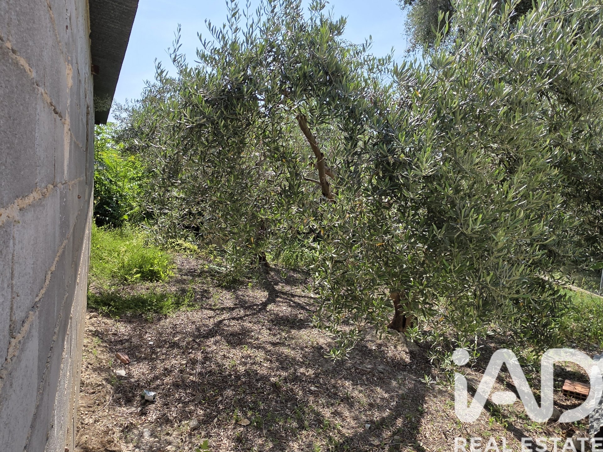 Casa a Moratalla, Murcia, Spagna 4 camere da letto, 150 mq. N° 184633
