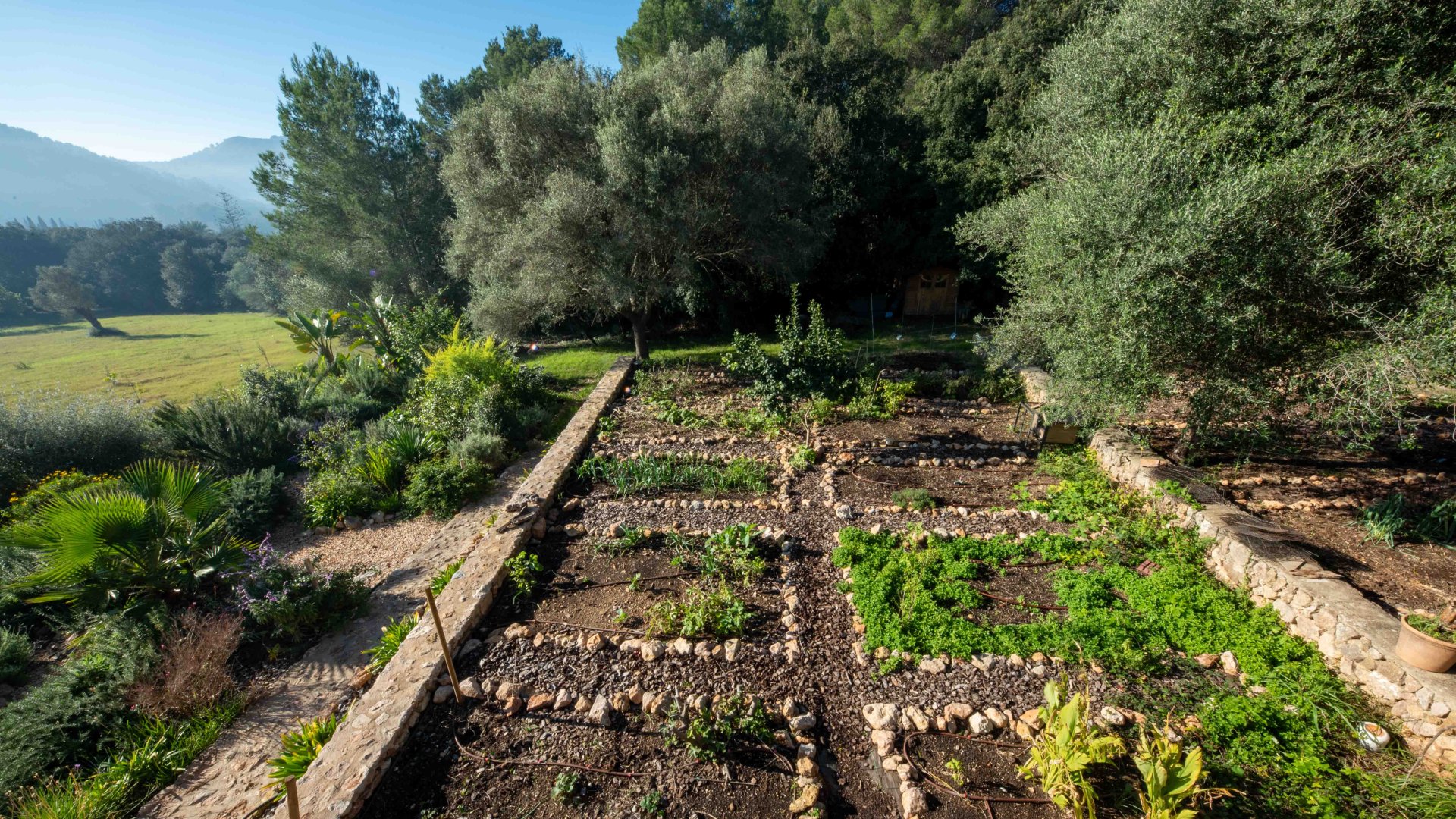 Finca Pollenca, Mallorca, Spānijā 6 istabas, 450 m2 Nr. 146486