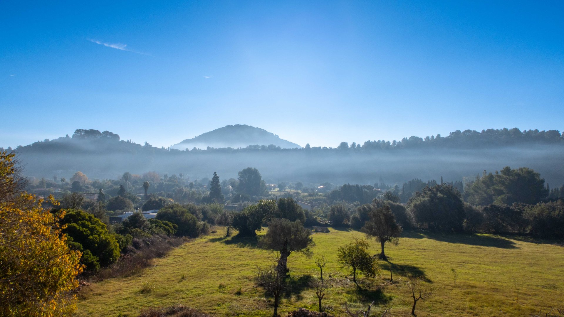 Finca Pollenca, Mallorca, Spānijā 6 istabas, 450 m2 Nr. 146486