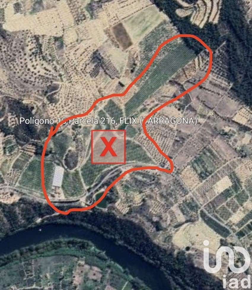 Land plot in Flix, Tarragona, Spain 220000 sq.m. No. 152994