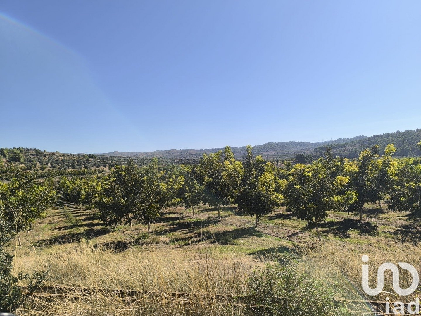 Land plot in Flix, Tarragona, Spain 220000 sq.m. No. 152994